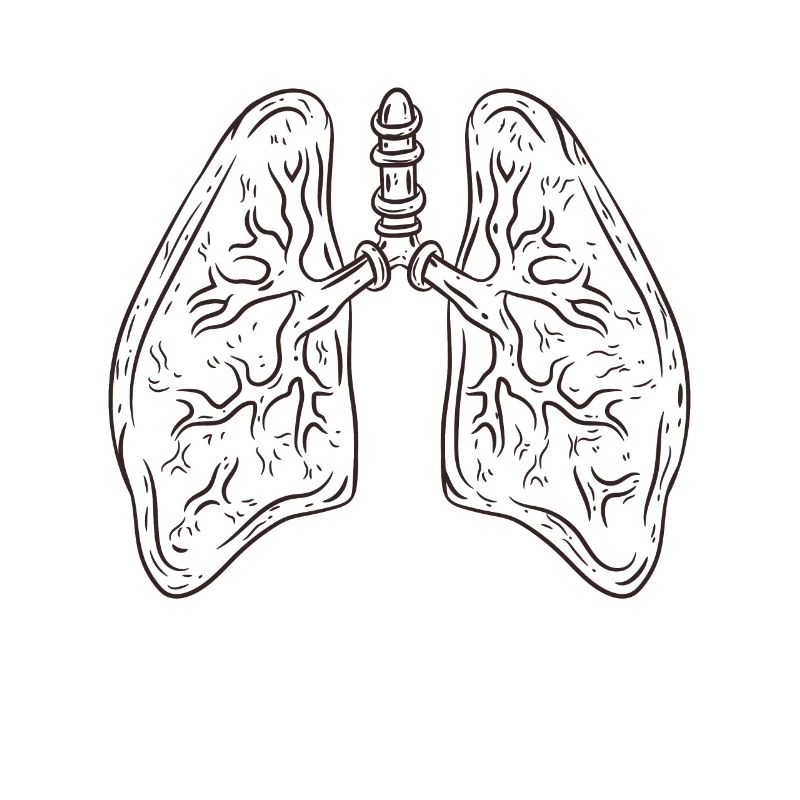 lung