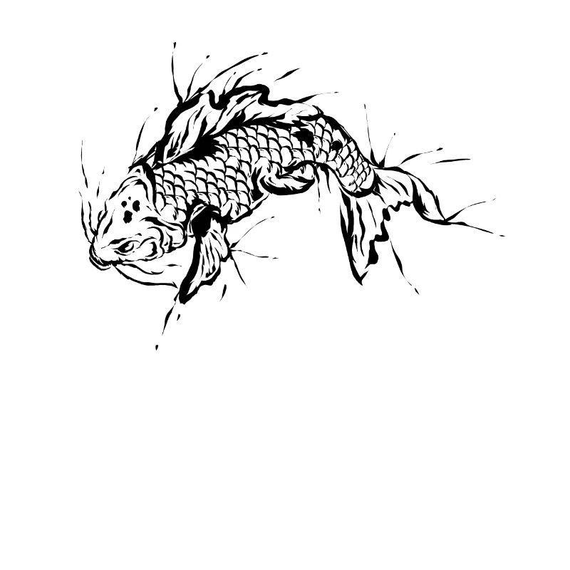 Fisch Karpfen