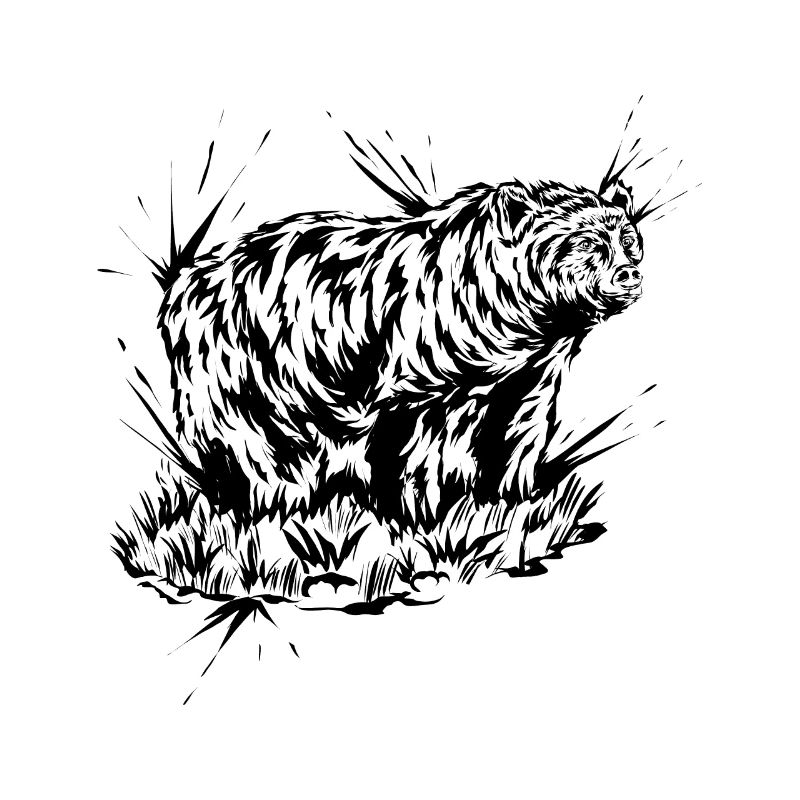 Grizzly Bear