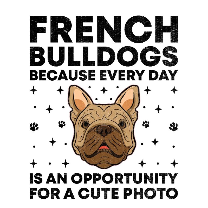Bouledogues Français Parce que chaque jour est une opportunité