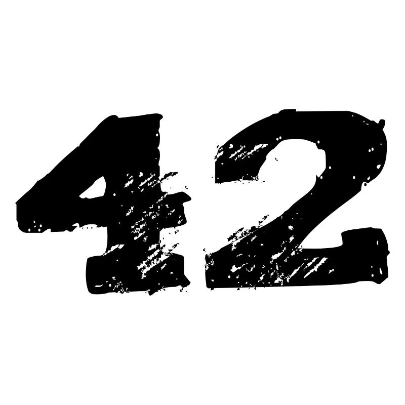 42 Number jersey