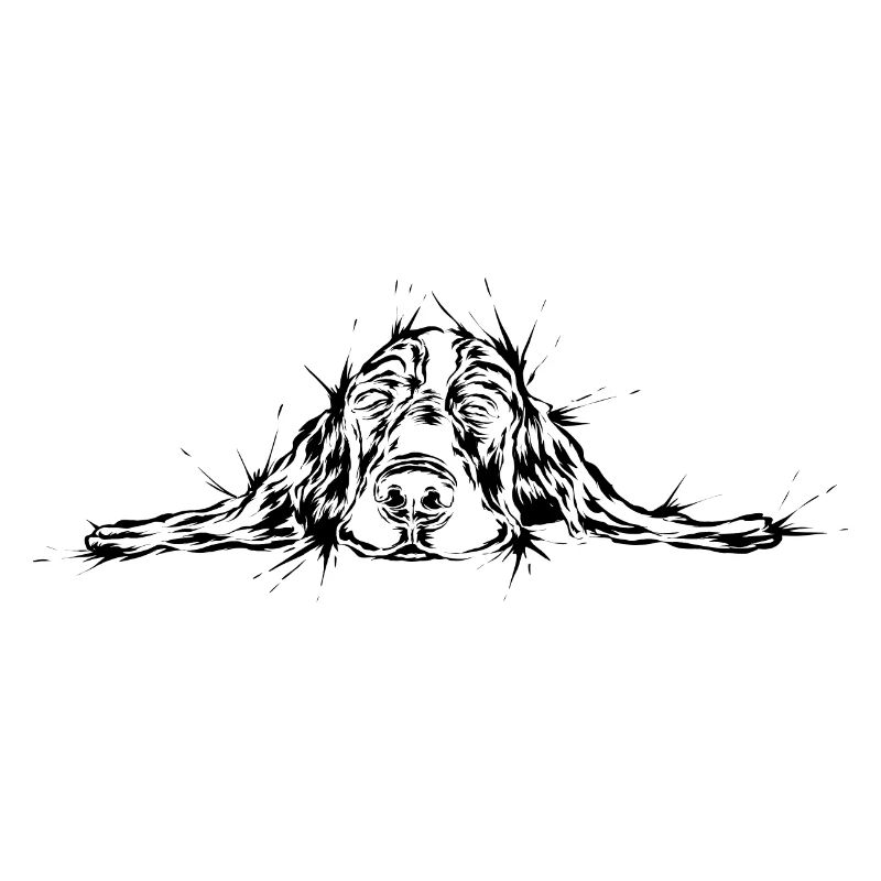 Hund müde