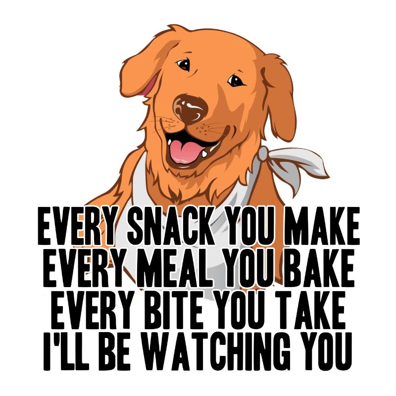 Labrador