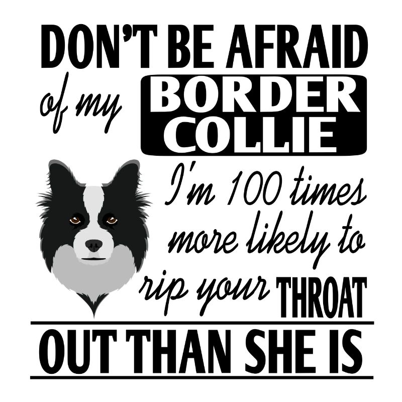 Border Collie