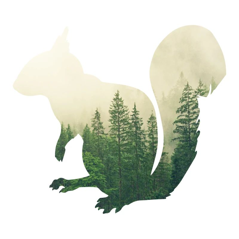 Eichhoernchen - Wald Doppelbelichtungs-Effekt