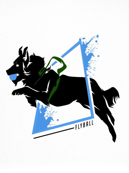 Flyball