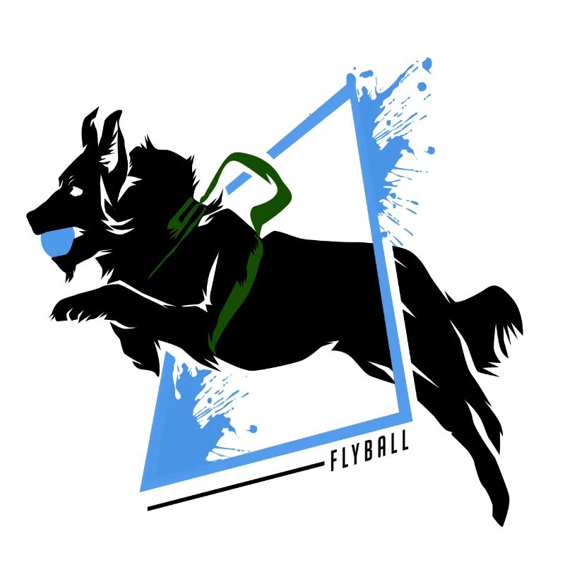 Flyball