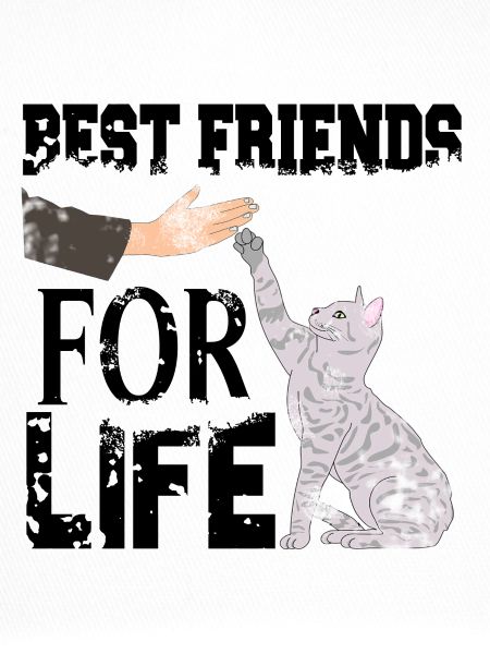 Chat chats