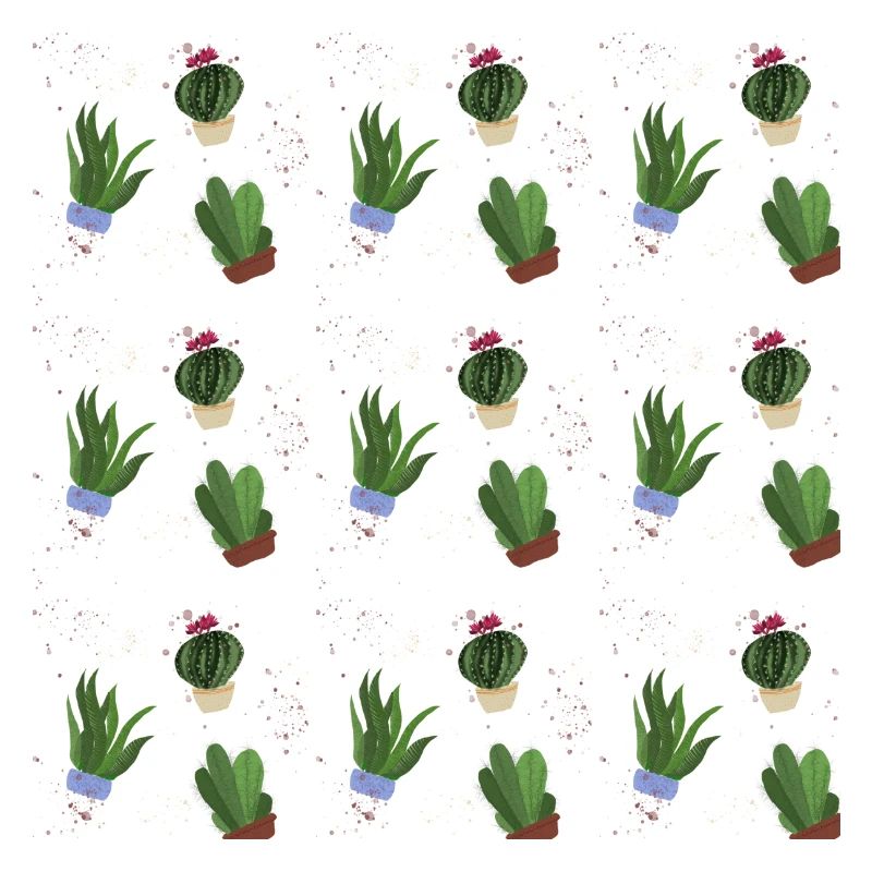 cacti