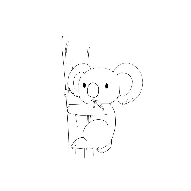 koala