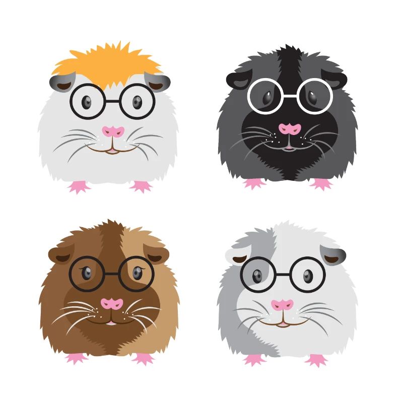 Quatre petits cochons d'Inde ringards avec des lunettes