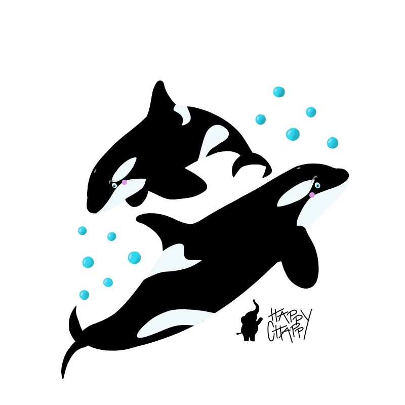 Orcas im Meer