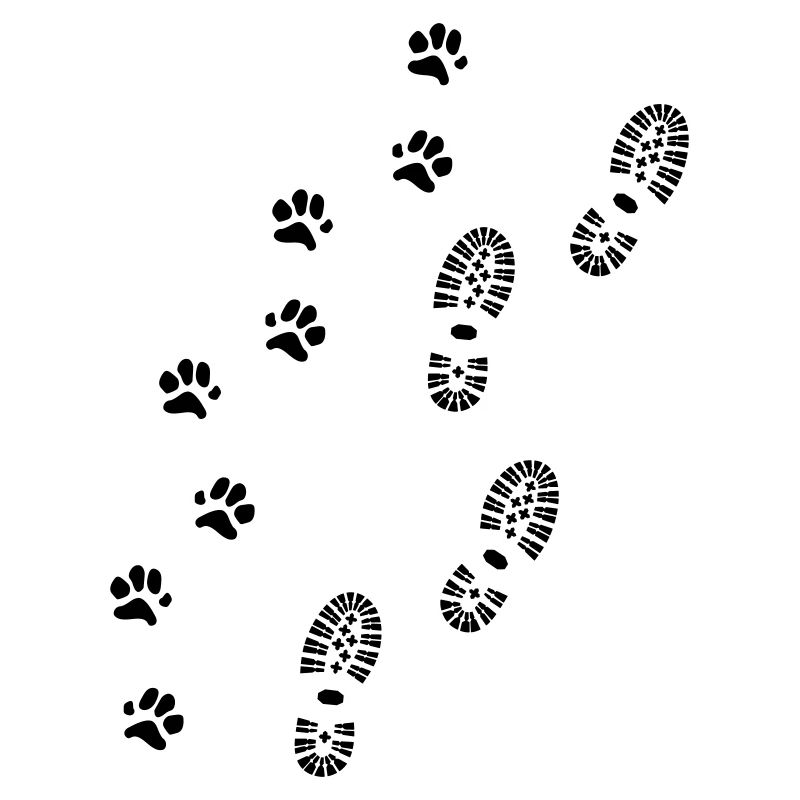 Empreinte de chaussure et empreinte de patte, randonnée avec chien
