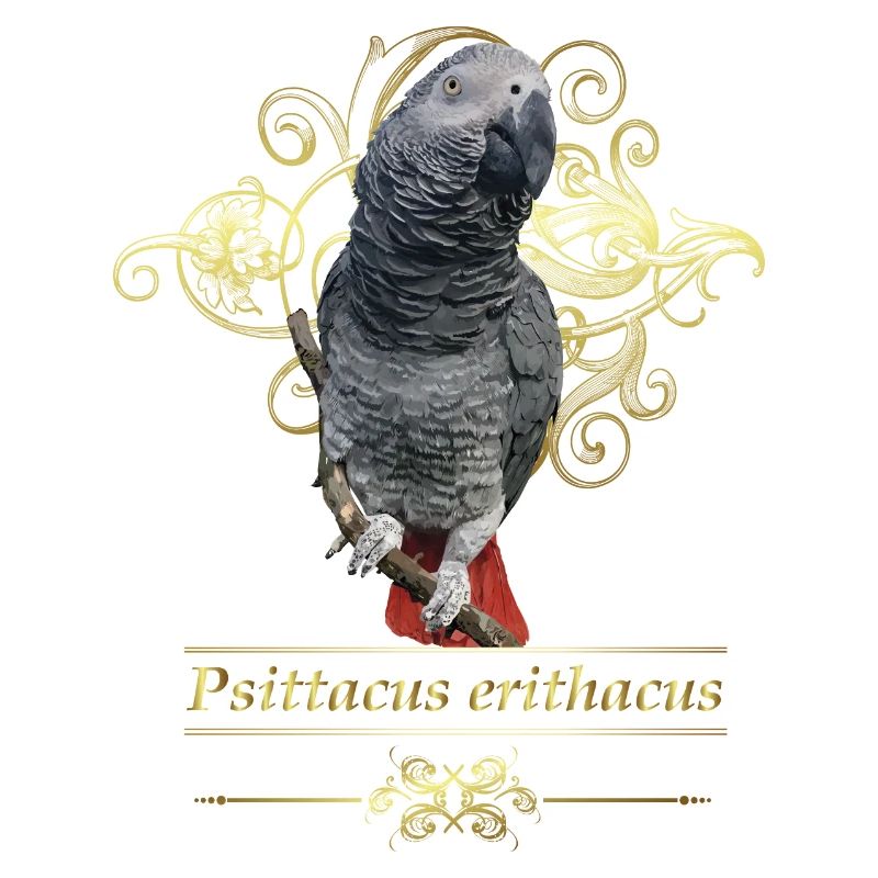 The grey parrot