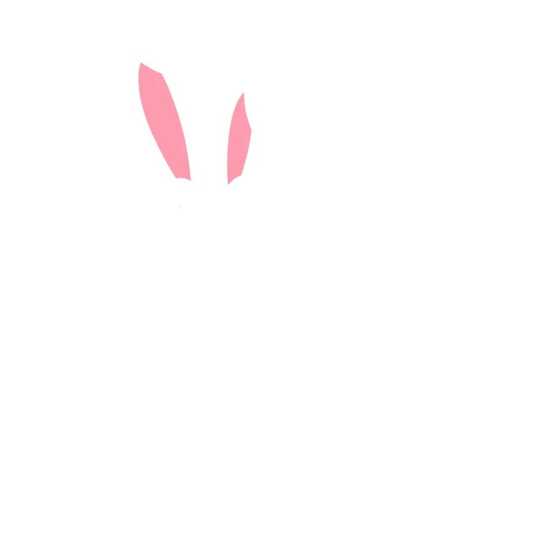 Oreilles de lapin Lapins Couple Lapins de Pâques Mrs