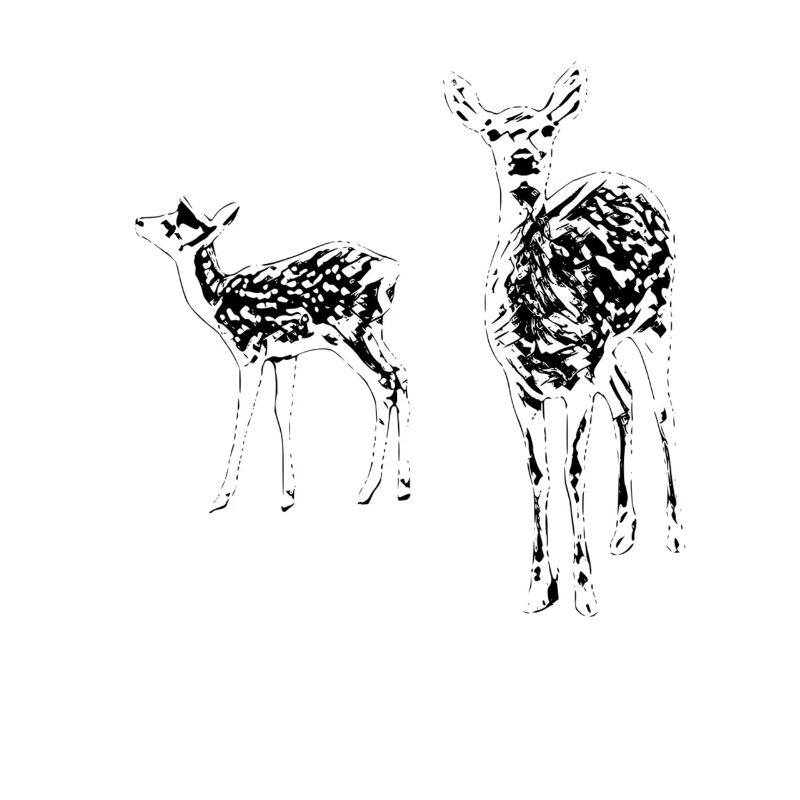 Rehe