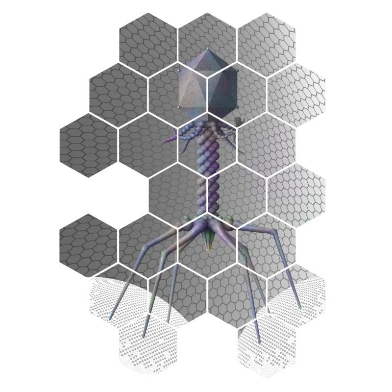 Phage