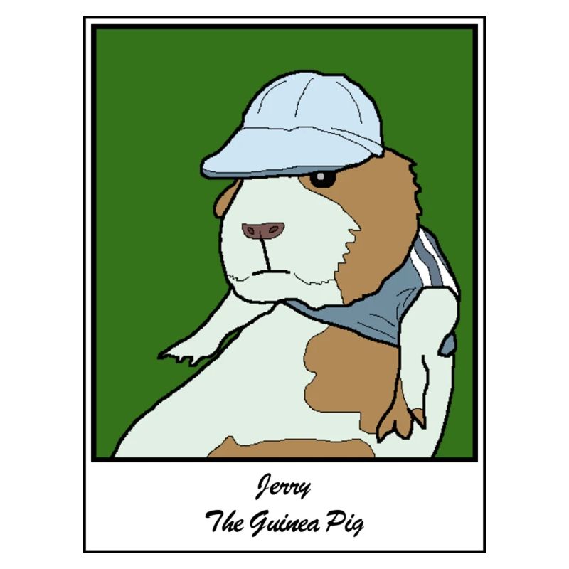 Jerry le cochon d’Inde