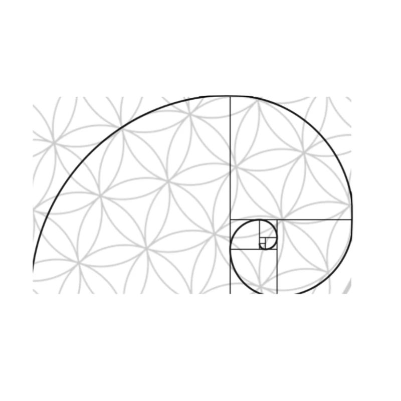 Blume des Lebens plus Fibonacci