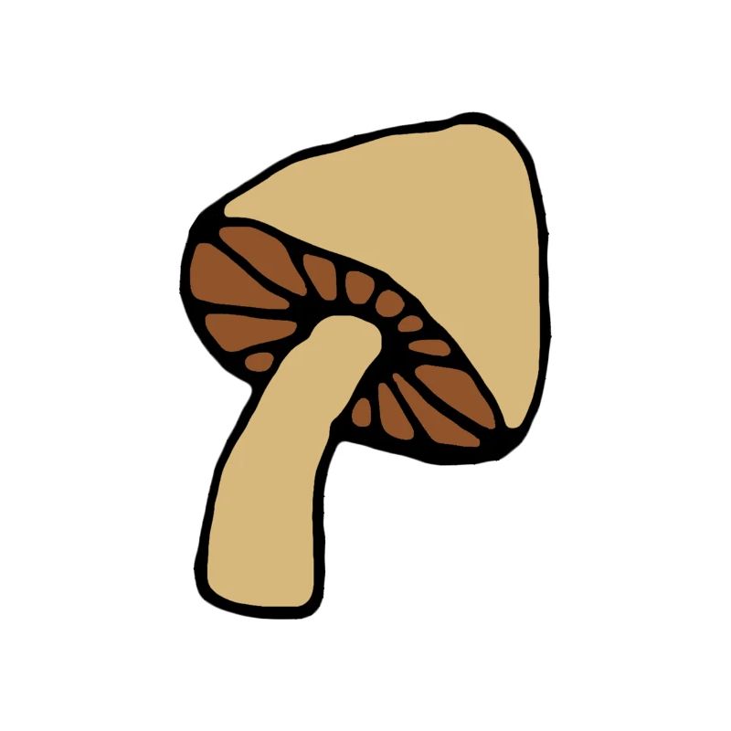 Pilz
