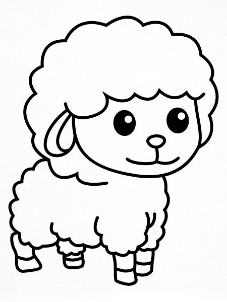 Sheep Comic Animal