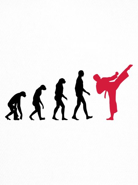 Karaté - Evolution