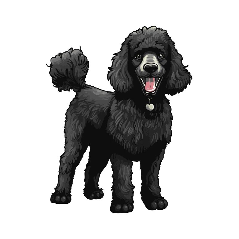 Poodle Dog