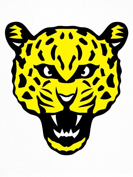 head leopards wild animals