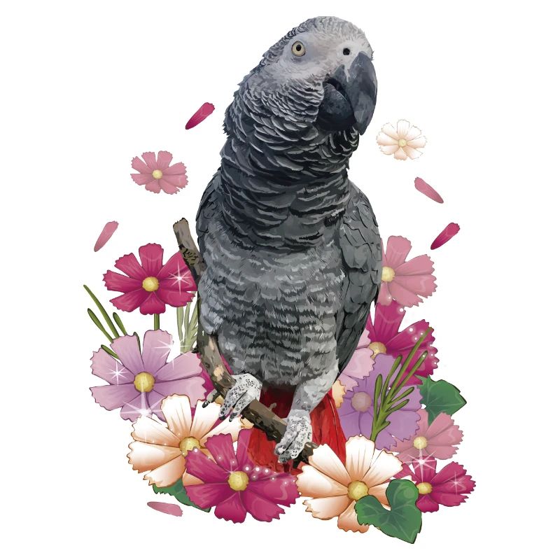 Le perroquet gris