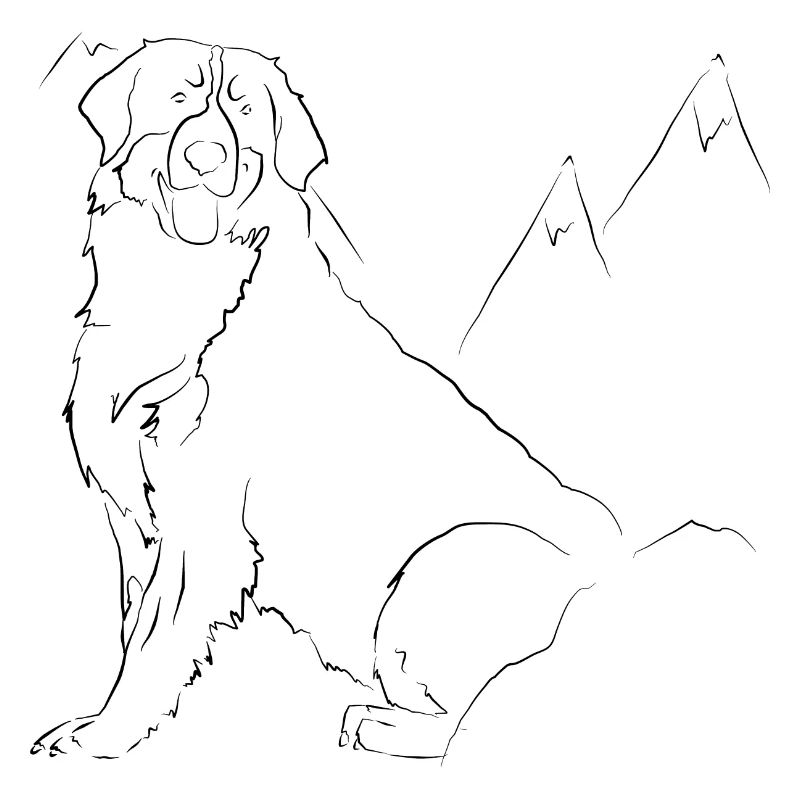 Berner Sennenhund