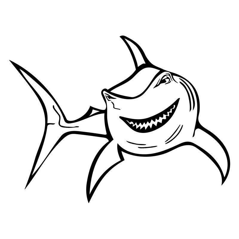 Requin drôle
