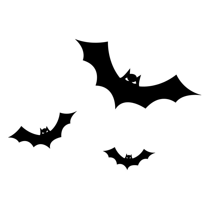 Fledermaus - Fledermäuse