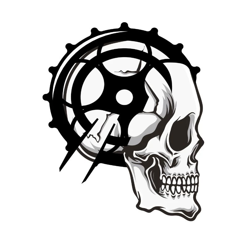 skull bear
