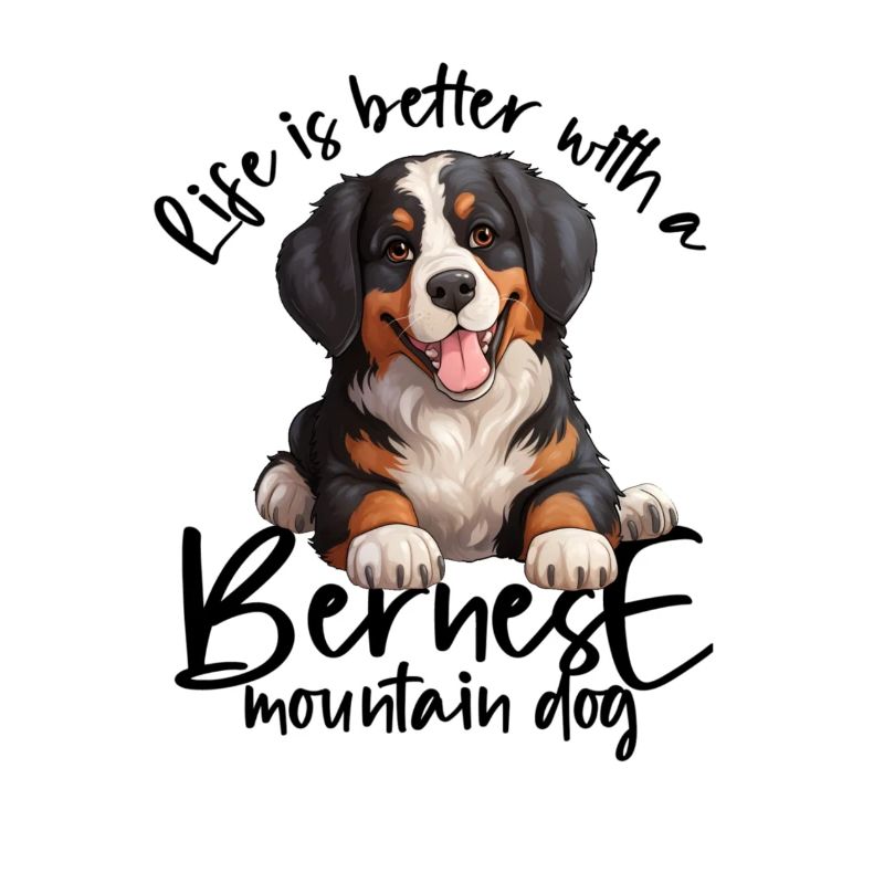Bovaro del Bernese