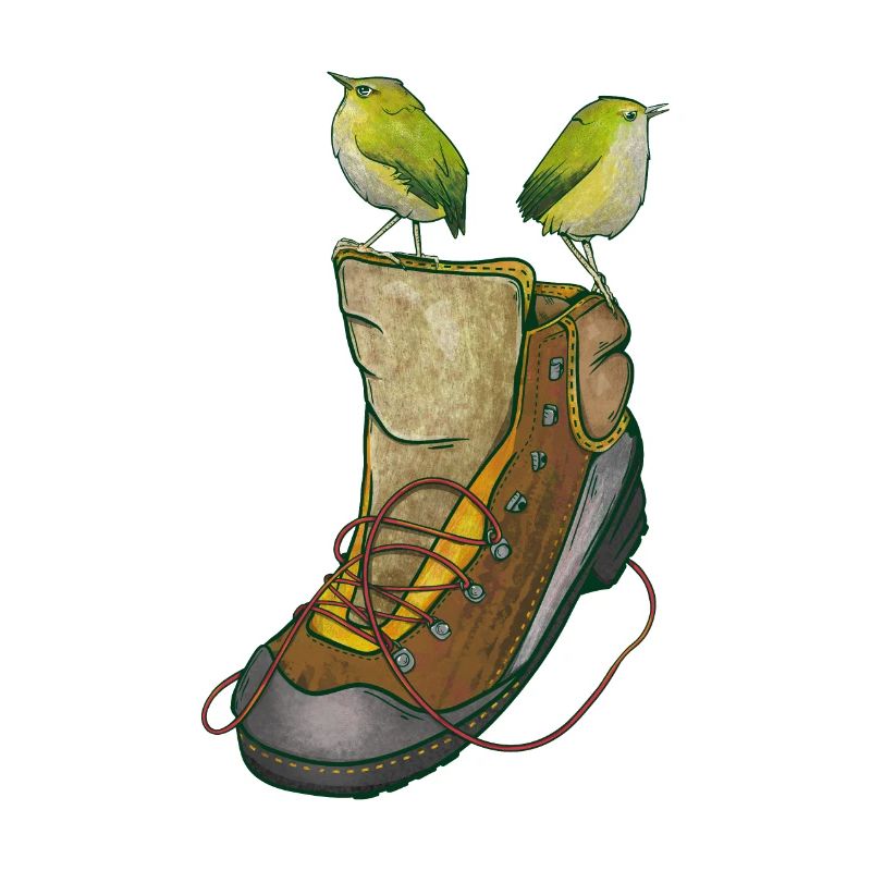 Rock wrens on a hiking boot