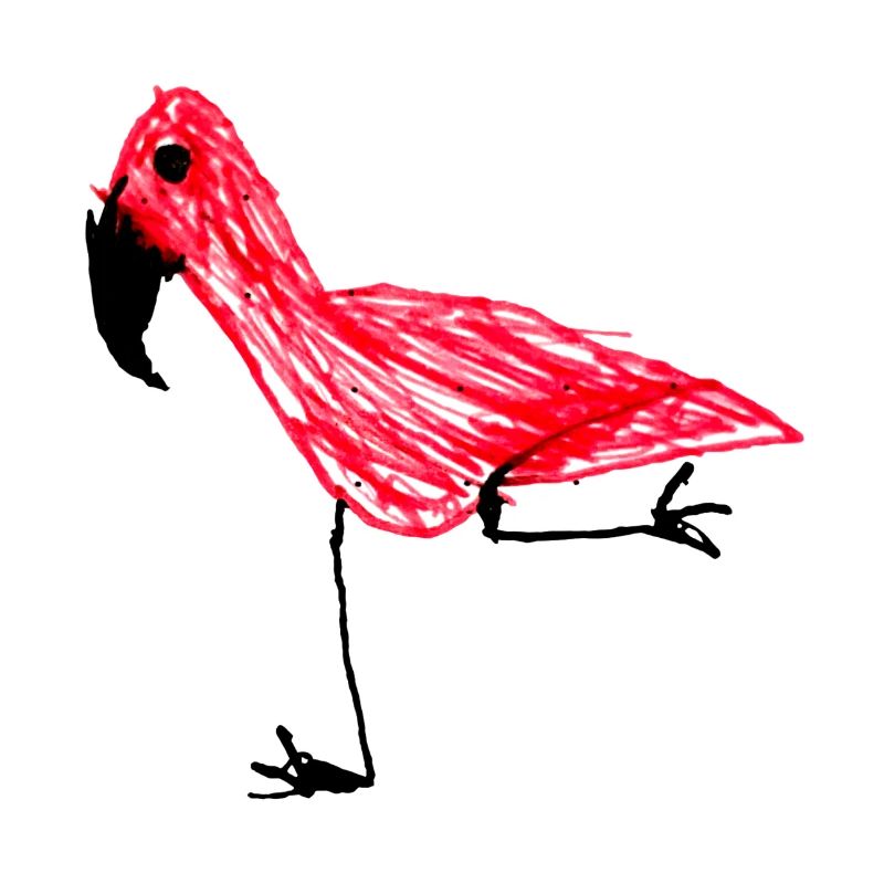 Flamingo Design