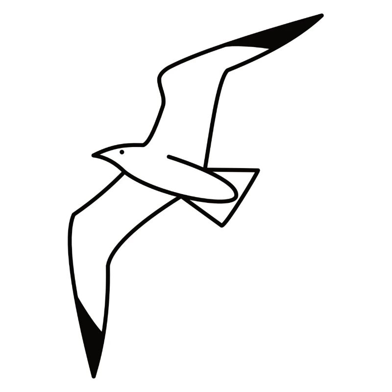 Seagulls