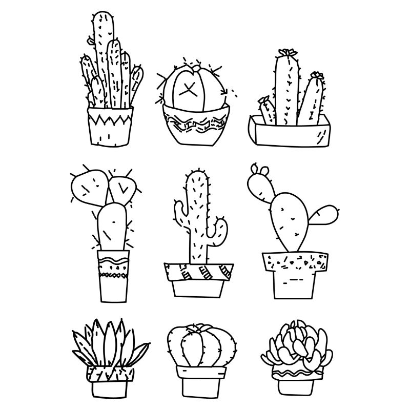 6 different cacti