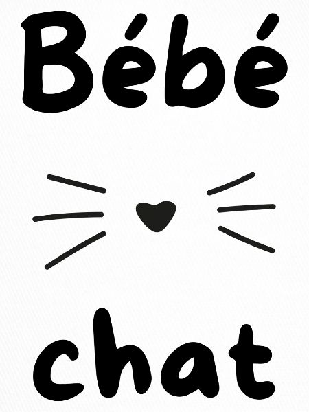 Bébé chat