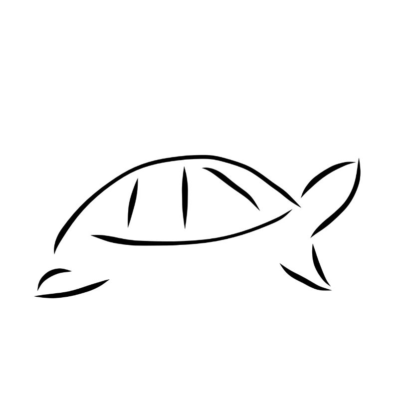 Minimalist turtle