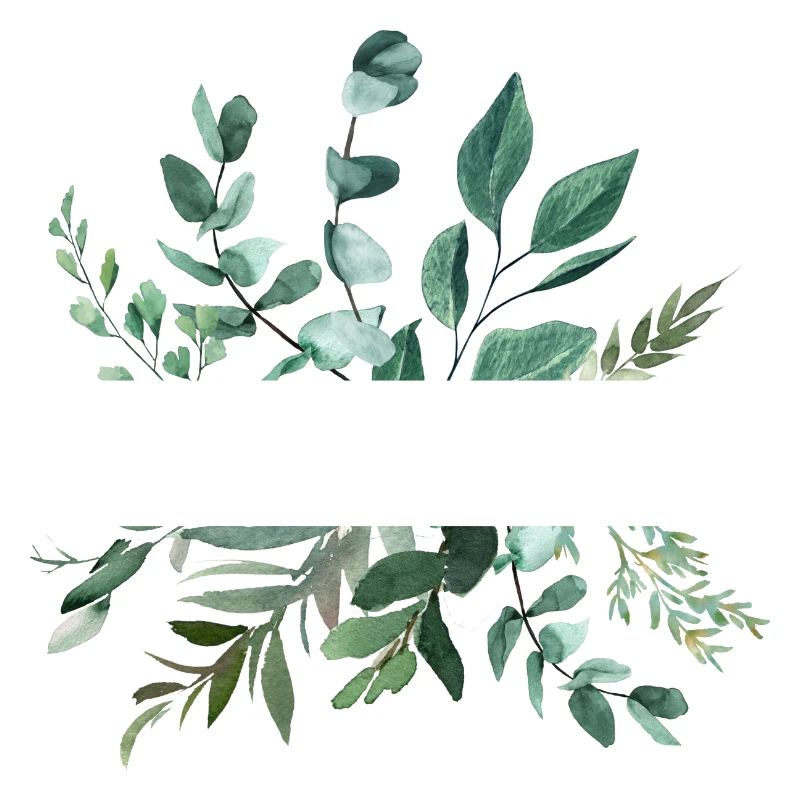 Botany customizable
