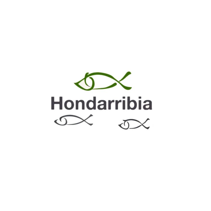 Hondarribia fish