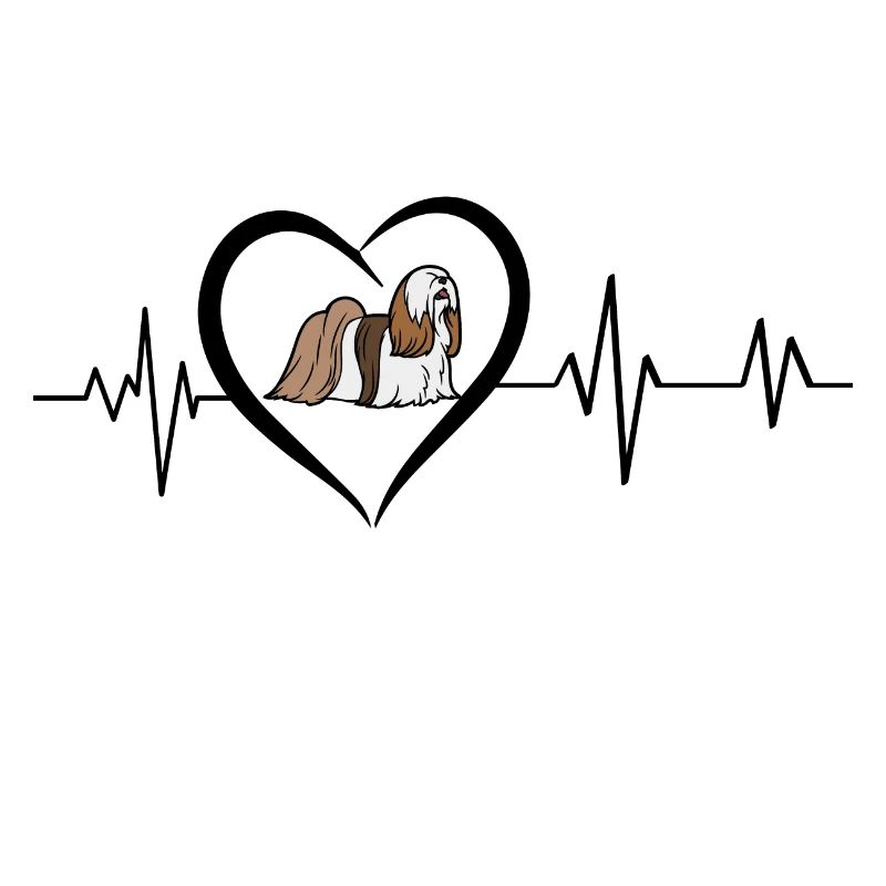 battement de cœur lhasa apso