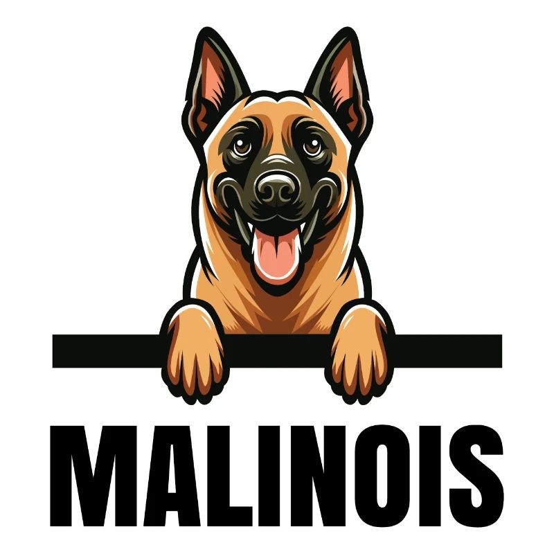 Belgian Malinois Belgian Malinois