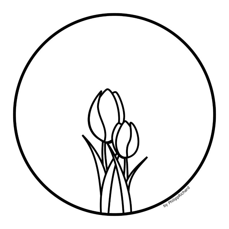 Einfach Tulpen
