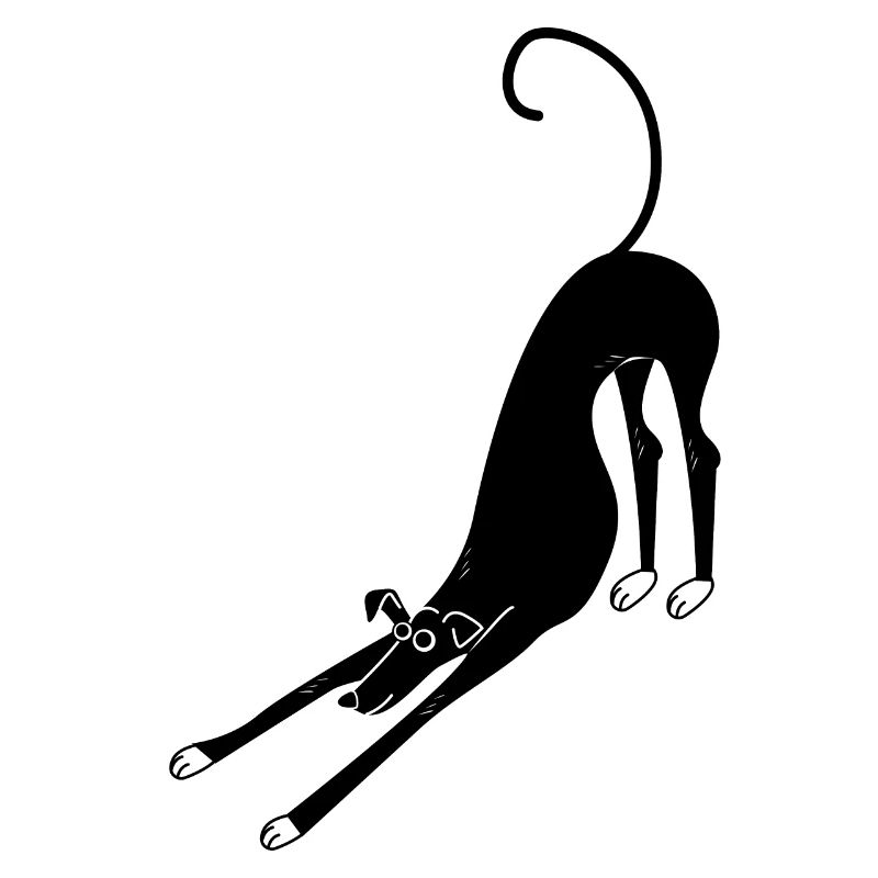 chien du vent