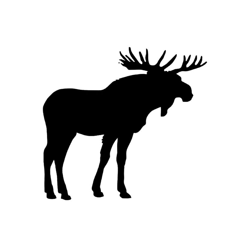 Elche sind wunderschöne Tiere