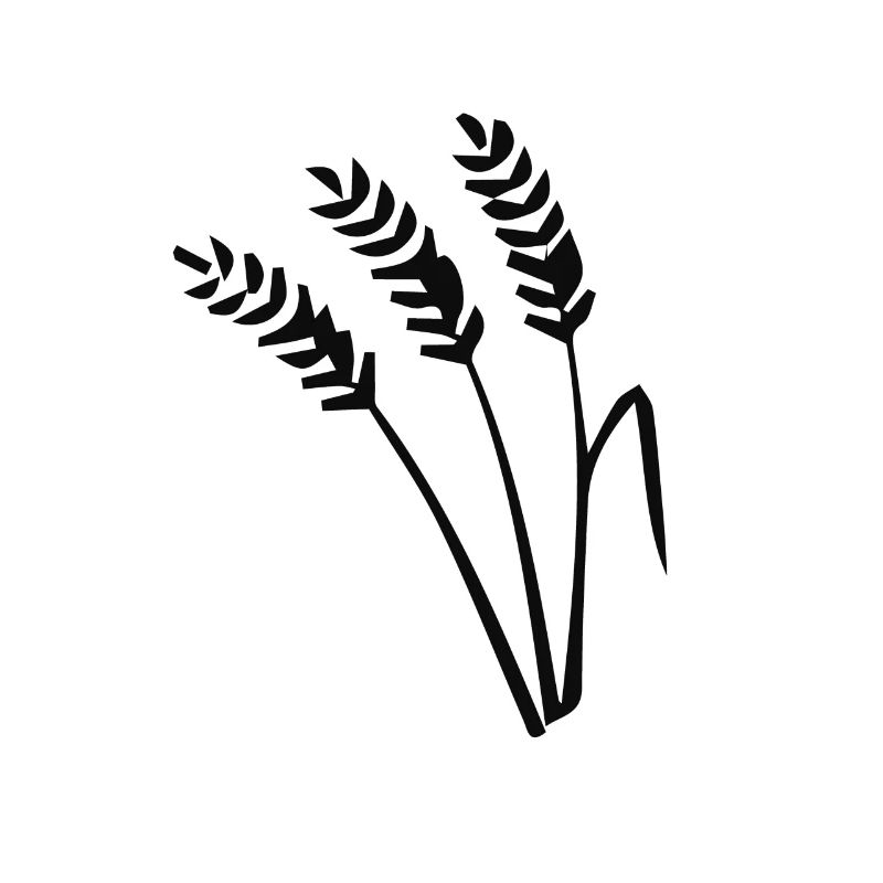 wheat