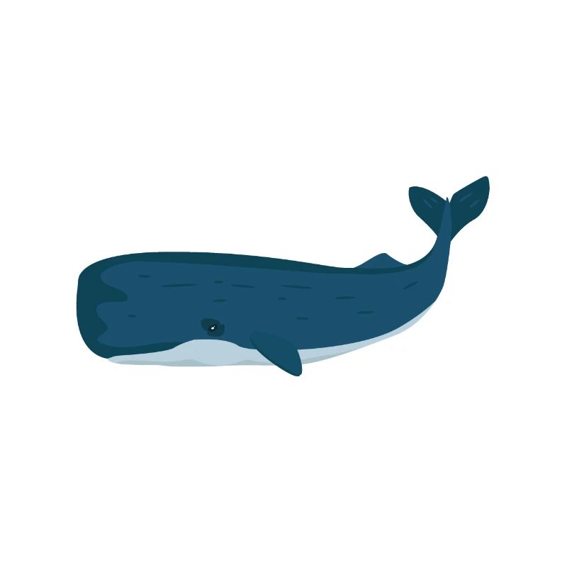 Physeter macrocephalus Pottwal Walfisch Geschenk