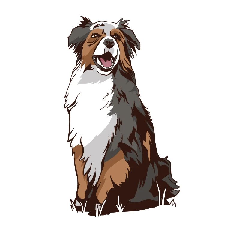 Australian Shepherd tea dog